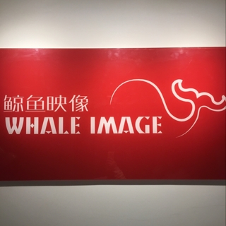 鲸鱼映像